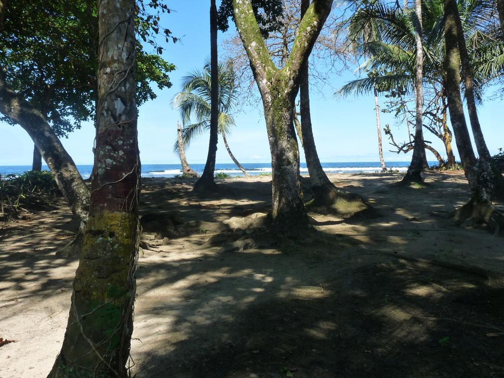 Cabinas Yucca Puerto Viejo de Talamanca Eksteriør billede