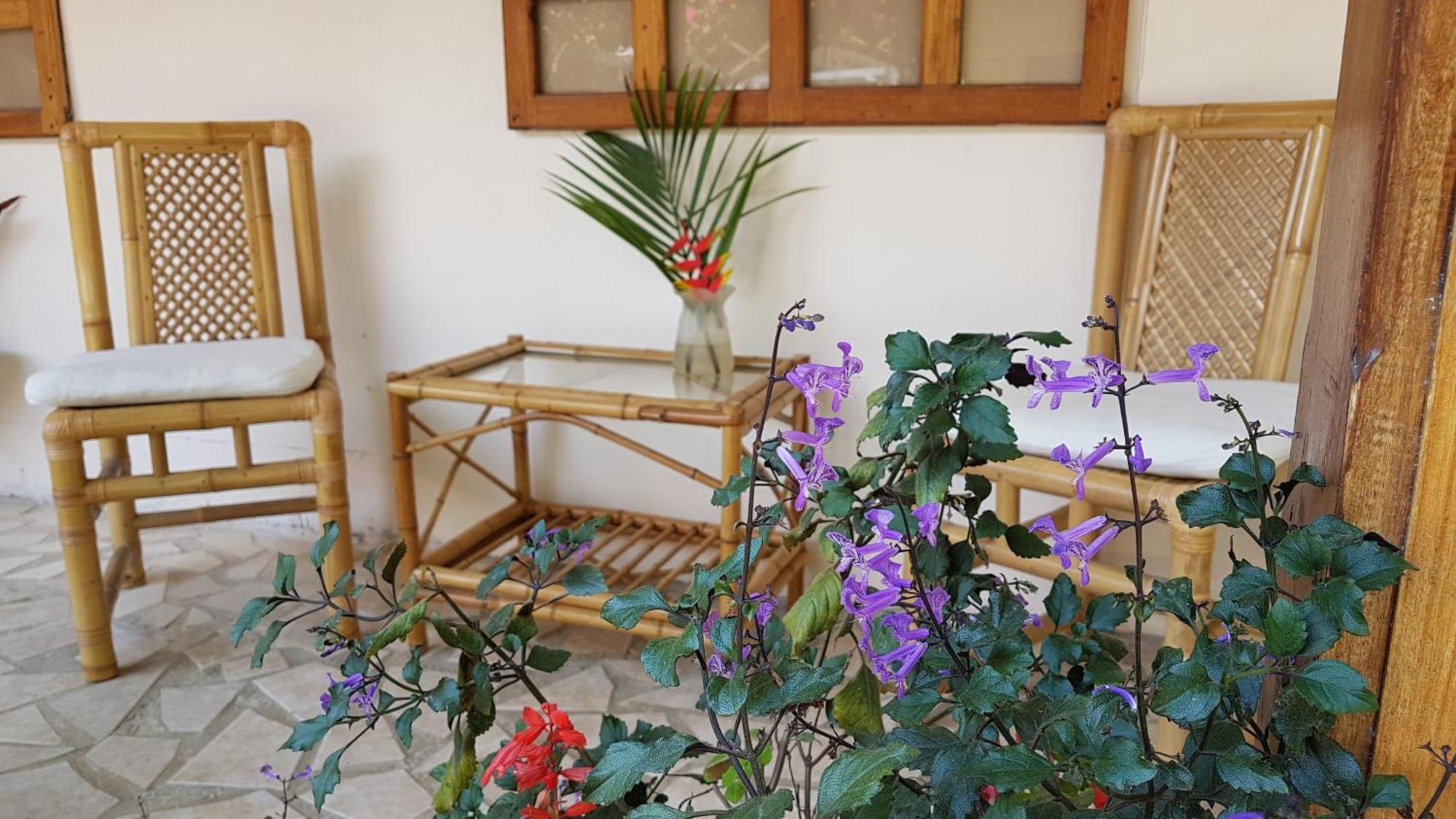 Cabinas Yucca Puerto Viejo de Talamanca Eksteriør billede