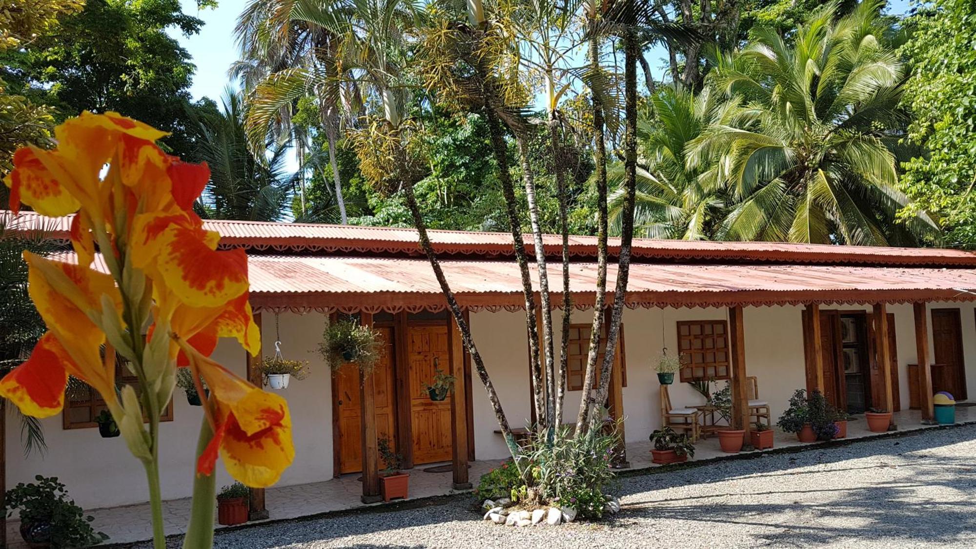 Cabinas Yucca Puerto Viejo de Talamanca Eksteriør billede