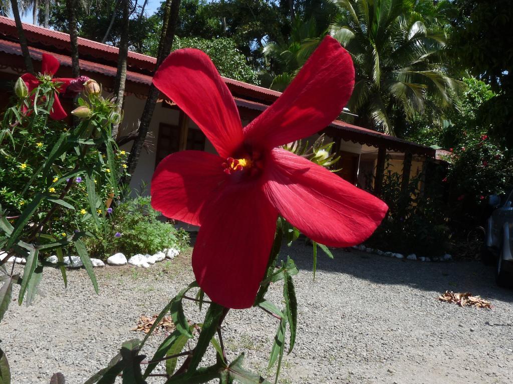 Cabinas Yucca Puerto Viejo de Talamanca Eksteriør billede