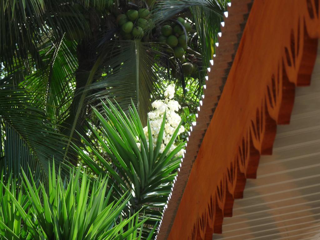 Cabinas Yucca Puerto Viejo de Talamanca Eksteriør billede