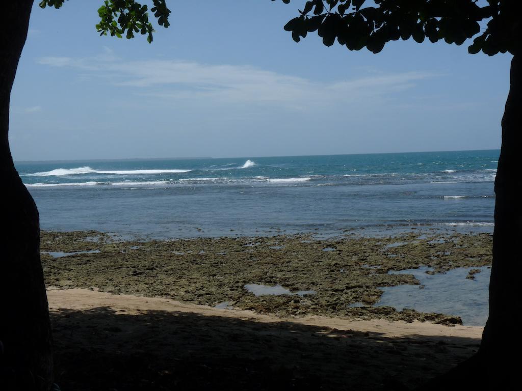 Cabinas Yucca Puerto Viejo de Talamanca Eksteriør billede