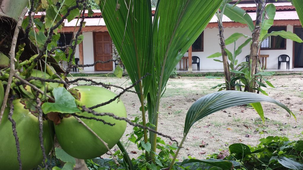 Cabinas Yucca Puerto Viejo de Talamanca Eksteriør billede