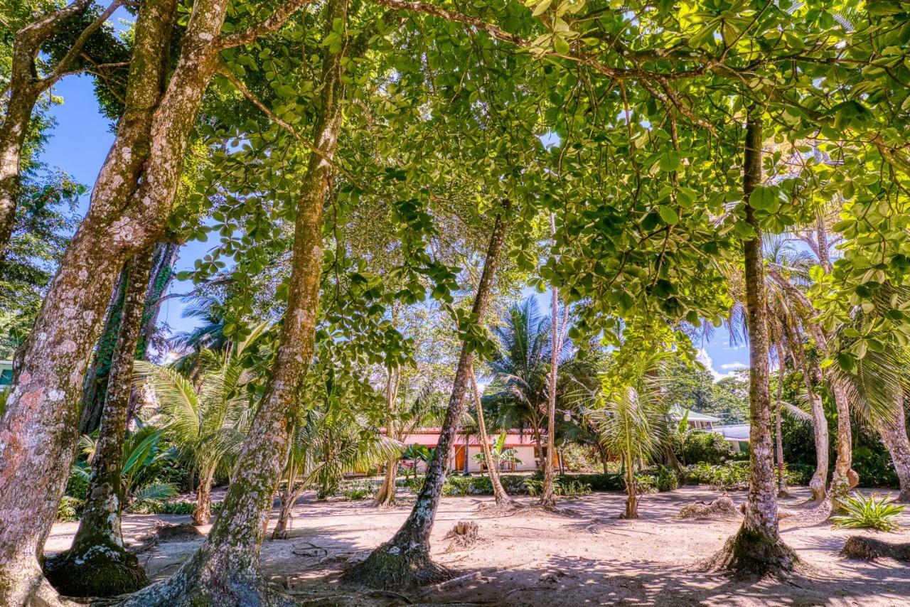 Cabinas Yucca Puerto Viejo de Talamanca Eksteriør billede