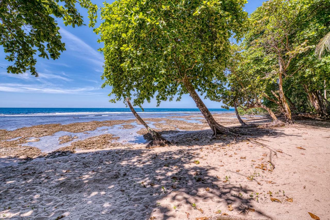 Cabinas Yucca Puerto Viejo de Talamanca Eksteriør billede