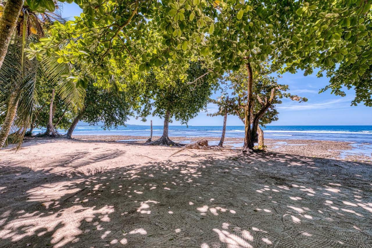 Cabinas Yucca Puerto Viejo de Talamanca Eksteriør billede